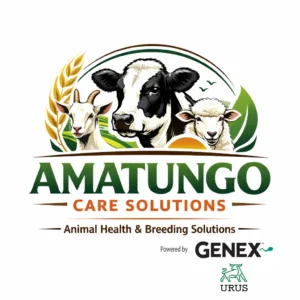 logo (1)